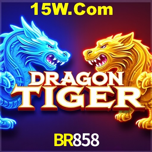API Integration BR858