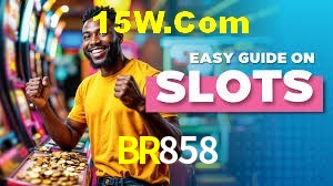 Experiência VIP BR858